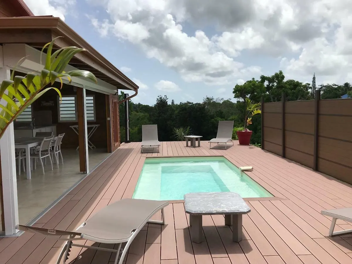 Villa Neuve De Standing En Bois Avec Piscine Sainte-Anne